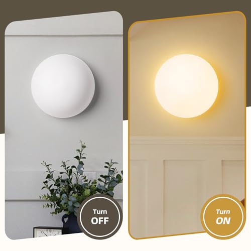 Modern Globe Glass Wall Sconces Set of 2 (2 Count)