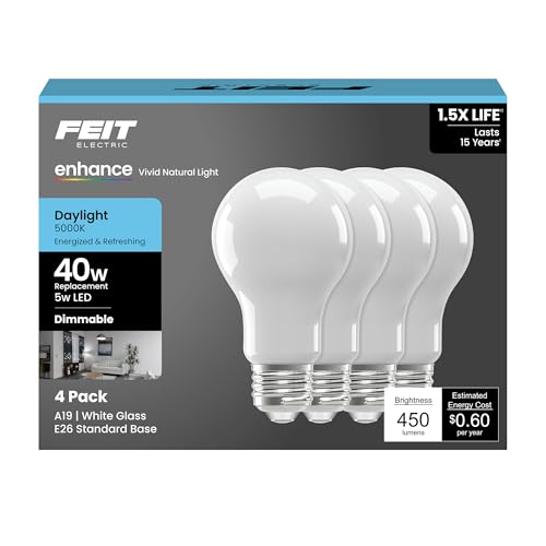 A19 LED Light Bulb (4 Count)