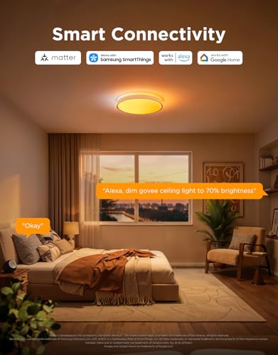 Smart Ceiling Light Pro