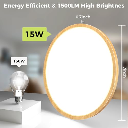 1Pack LED Flush Mount Ceiling Light Fixture