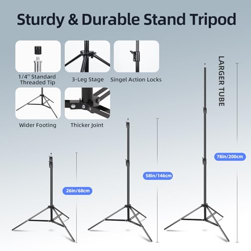 Softbox Lighting Kit 1Pack 20x28in Soft Box