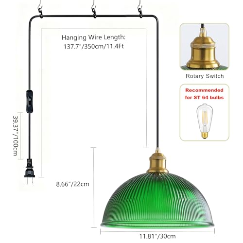 Plug in Pendant Light