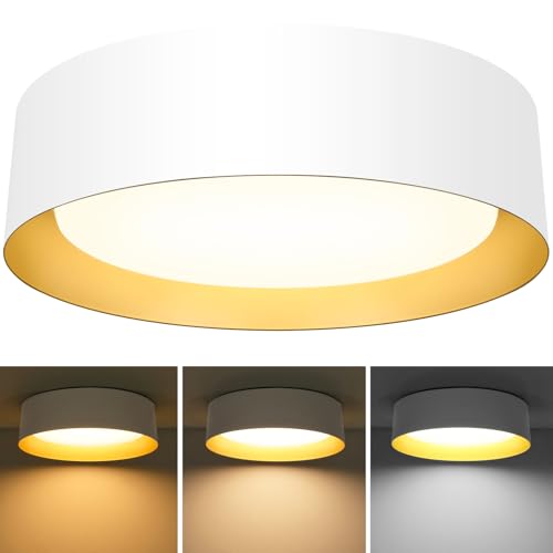 Flush Mount Ceiling Light