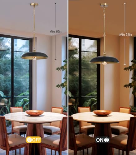 18'' Pendant Light Black Gold Dome E26 Dining Bedroom