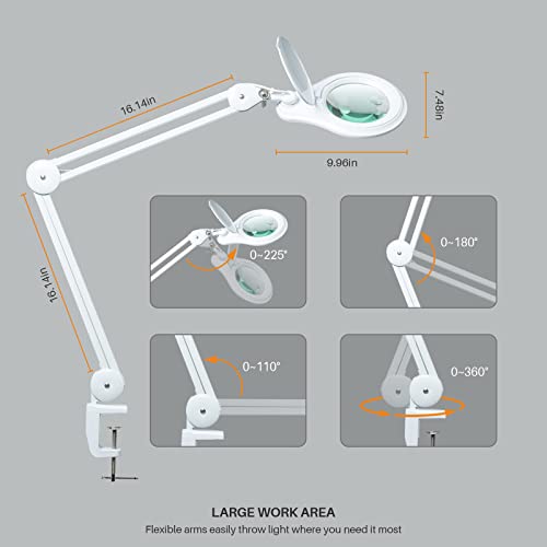 Bifocal LED Magnifying Lamp with Clamp