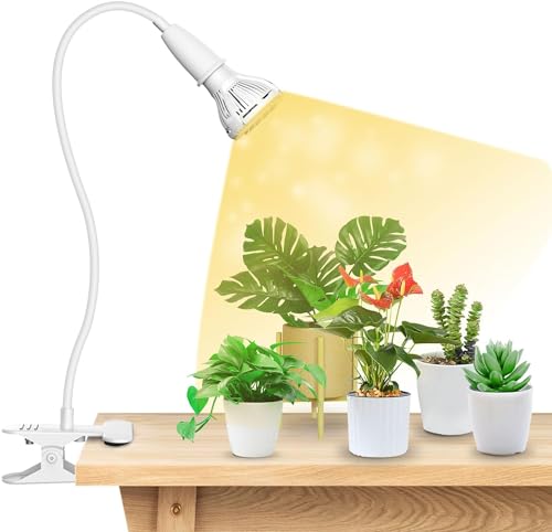 Grow Lights for Indoor Plants