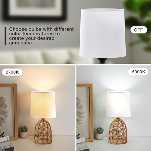 Rattan Lamp Boho Lamps Set of 2 (2 Count)