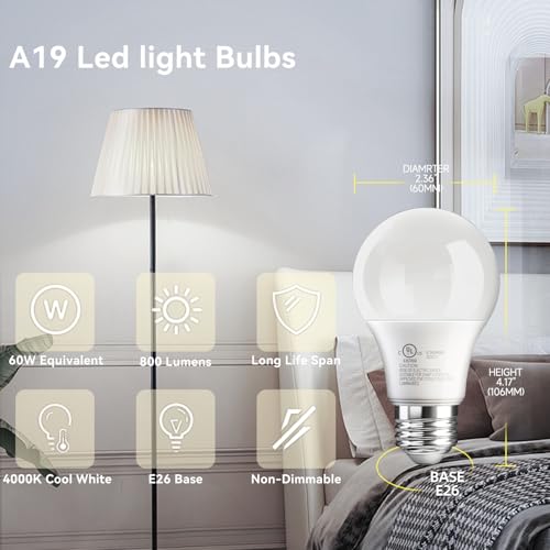 6 Pack A19 LED Light Bulbs (6 Count)