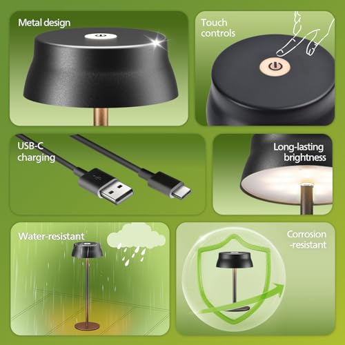Cordless Table Lamp