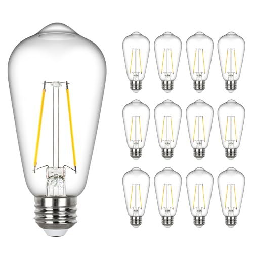LED Edison Bulb 60 watt Equivalent (12 Count)