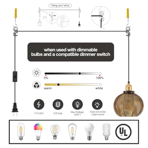 Modern Plug in Hanging Light