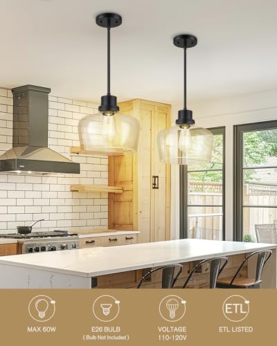 Black Pendant Light Fixtures