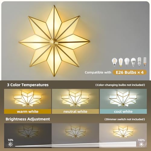 Star Brass Vintage Ceiling Light