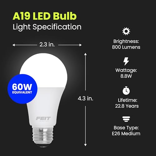 A19 LED Light Bulbs (4 Count)