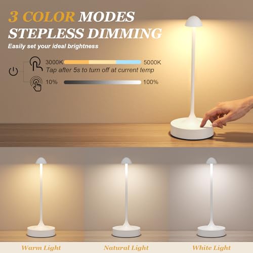 Rechargeable Cordless Table Lamp (2 Count)