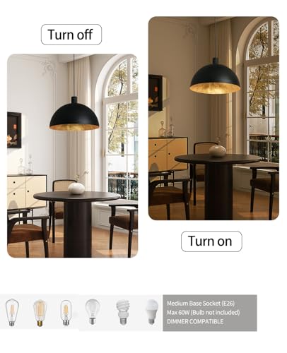 20 Inch Large Black Chandelier Dome