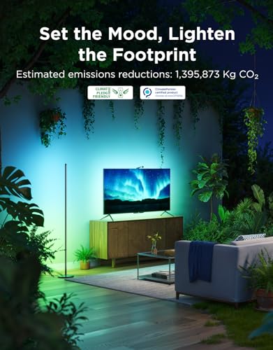 RGBIC Floor Lamp Basic