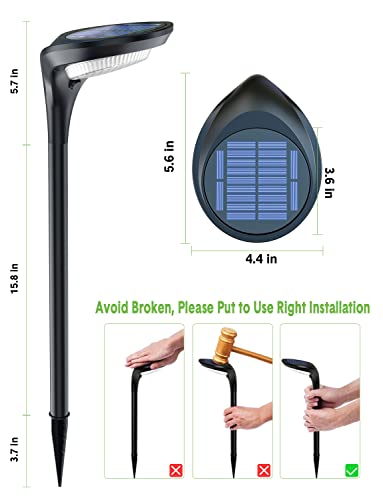 Color Solar Pathway Lights (4 Count)