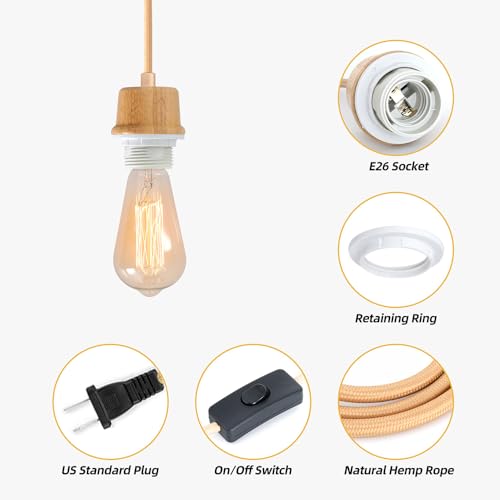 Plug in Pendant Light Cord