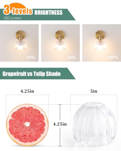 Tulip Lamp Shades Replacement (2 Count)
