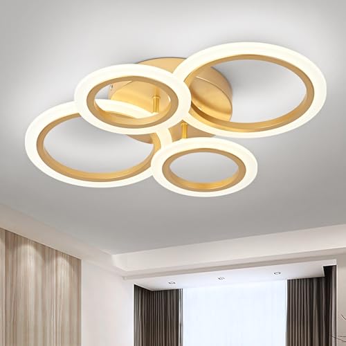 Modern LED Ceiling Light