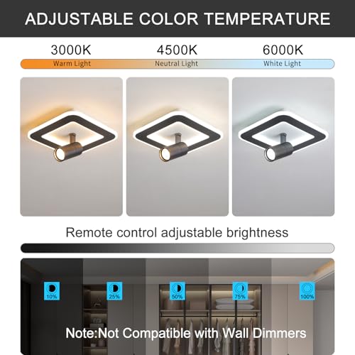 Modern LED Ceiling Lights with 1 spotlights 9.8Inch Black Ceiling Lights with Remote Control Dimmable