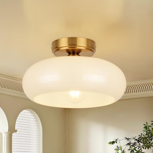 Small Semi Flush Mount Ceiling Light Fixture