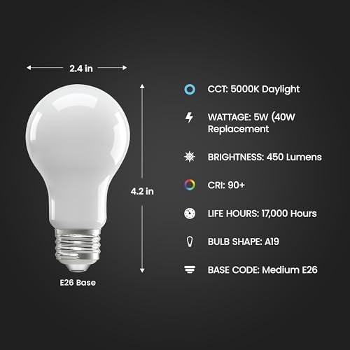 A19 LED Light Bulb (4 Count)