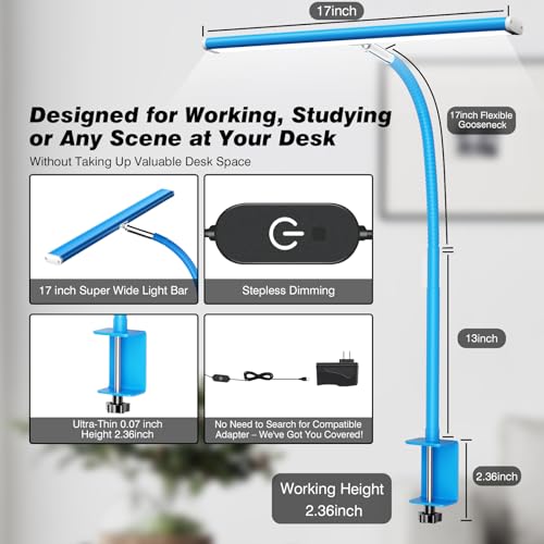 LED Desk Lamp with Clamp