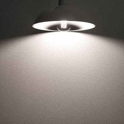 A19 Vintage LED Edison Bulbs