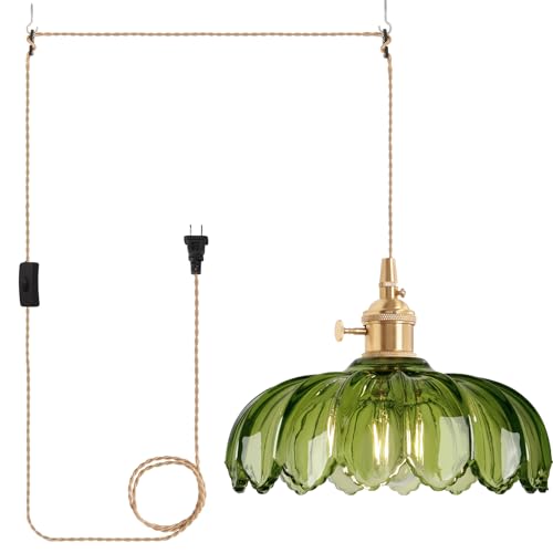 Plug in Pendant Light Hanging Light Fixtures with Plugin Cord On