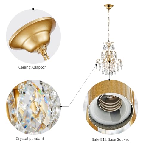 Crystal Chandelier 1