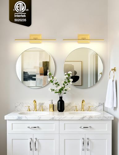 Bathroom Vanity Light 24 inch