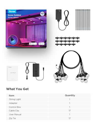 Smart Outdoor String Lights 2 (48 Foot)