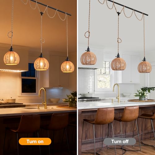 3 Light Hanging Light with Plug in Cord