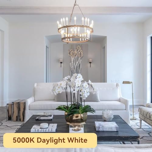 Candelabra LED Bulbs (6 Count)