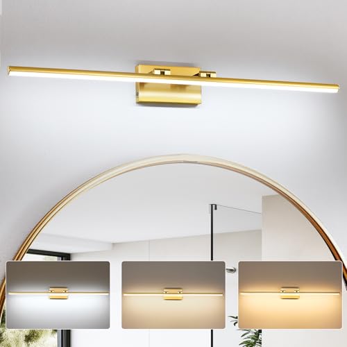 LED Bathroom Vanity Light