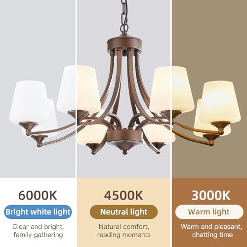8 Light Large Rustic Chandeliers with Frosted Milky White Glass