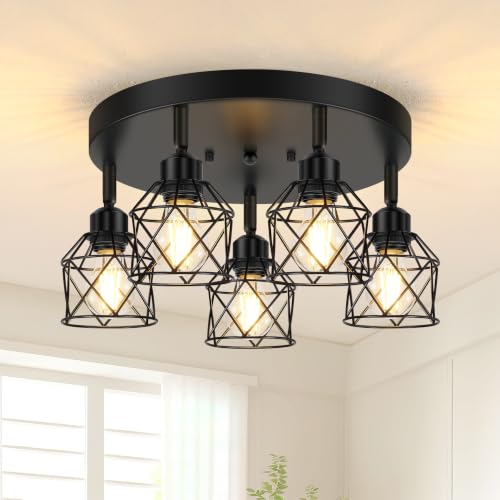 Kitchen Flush Mount Ceiling Light