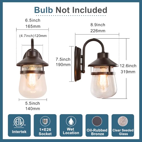 Outdoor Wall Sconce with Clear Seeded Glass Shade