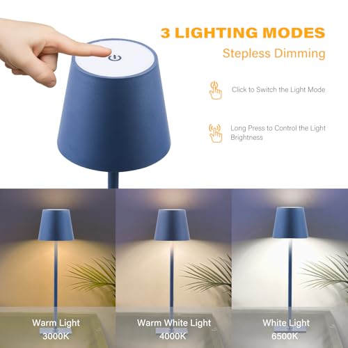 2 Pack Cordless Table Lamps (2 Count)