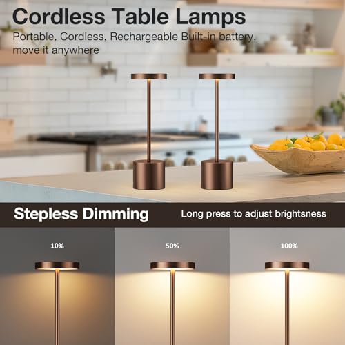 Brown Cordless Lamp Set (2 Count)