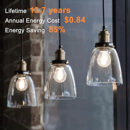 A19 LED Edison Light Bulb (6 Count)