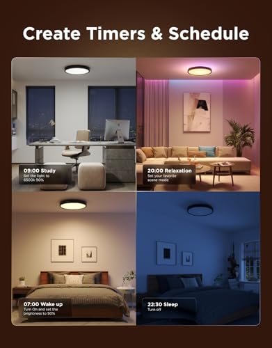 Smart Ceiling Light