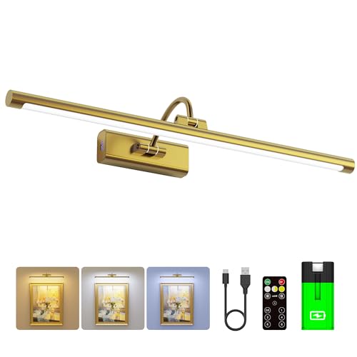 24" Picture Frame Light with 1pcs Extra 8000mAh Battery