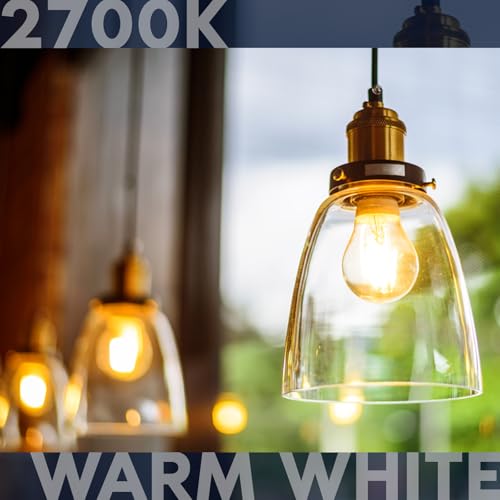 Vintage A19 LED Light Bulbs 60W Equivalent (6 Count)