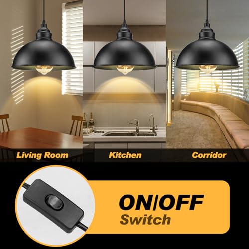 Plug in Pendant Light
