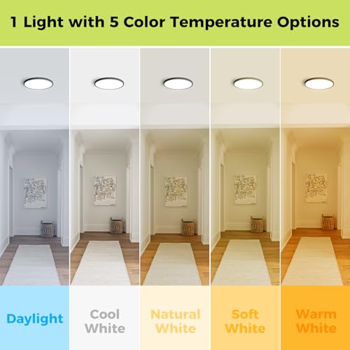 1Pack LED Flush Mount Ceiling Light Fixture