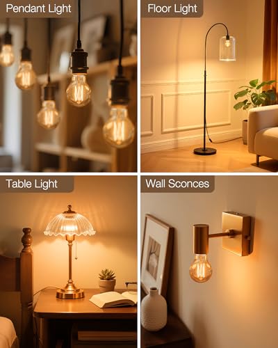 12 Pack A19 Amber Edison Bulbs (12 Count)