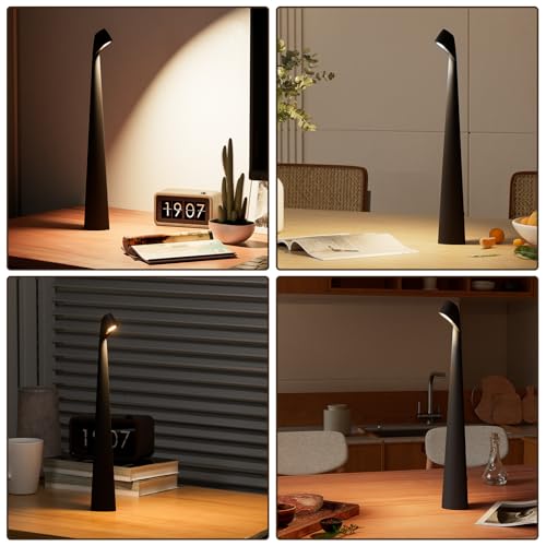 Cordless Rechargeable Reading Metal Table Lamp